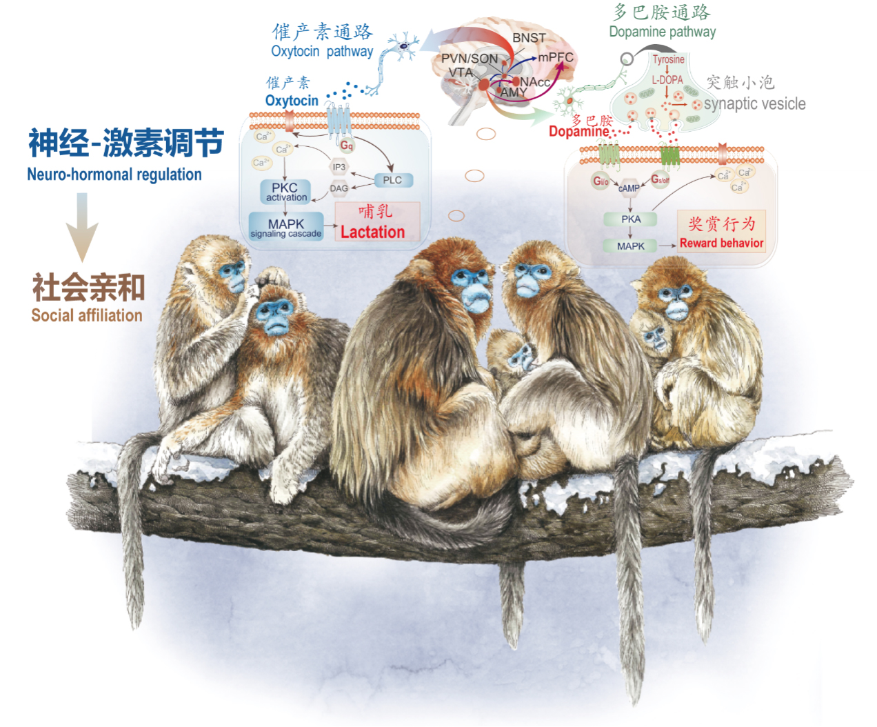 20230602160643931-34-7953e.jpg 20230602160643931-34-7953e.jpg