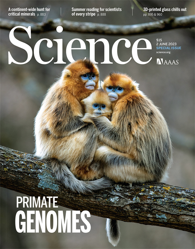 Science封面文章:云博app官方在线入口金丝猴研究团队首次系统揭示灵长类社会演化之谜_fororder_《自然》封面.JPG