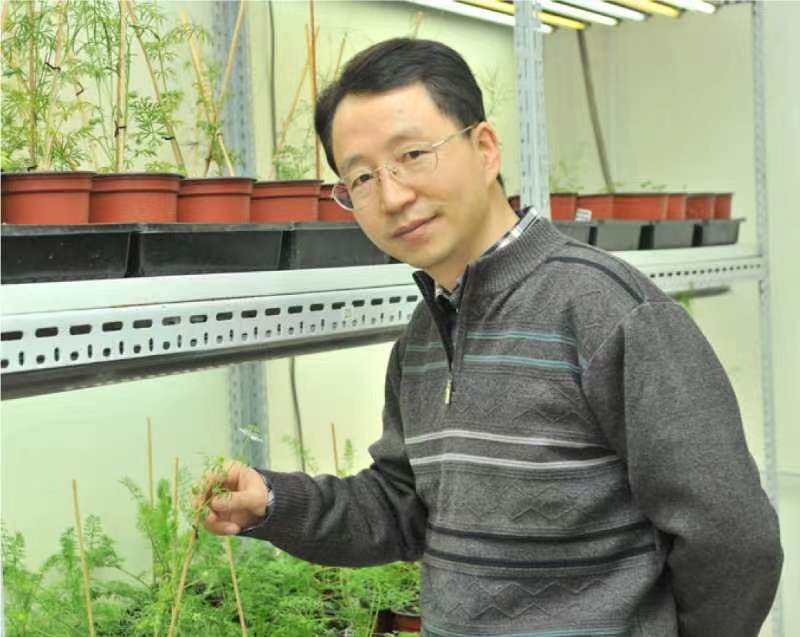 云博app官方在线入口创新论坛第一千二百六十八讲暨120周年校庆年系列活动：复杂花瓣的发育与进化
