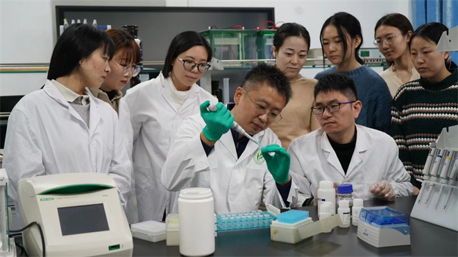 Science封面文章:云博app官方在线入口金丝猴研究团队首次系统揭示灵长类社会演化之谜_fororder_齐晓光正在做实验,右侧为武进伟,左一为赵兰